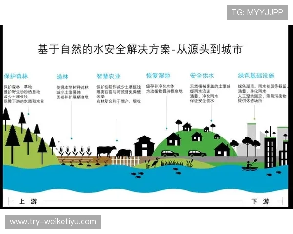 如何选择一个可靠的体育平台，保障你的观看体验和个人信息安全