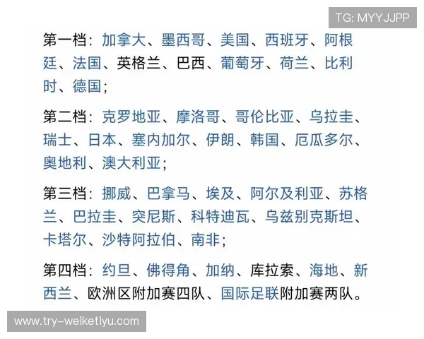 世界杯伊拉克对阵挪威比赛替补名单详细公布及分析